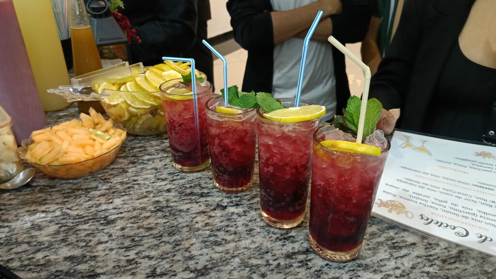 Soda Fit de Jamaica